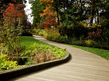 Благоустройство территории